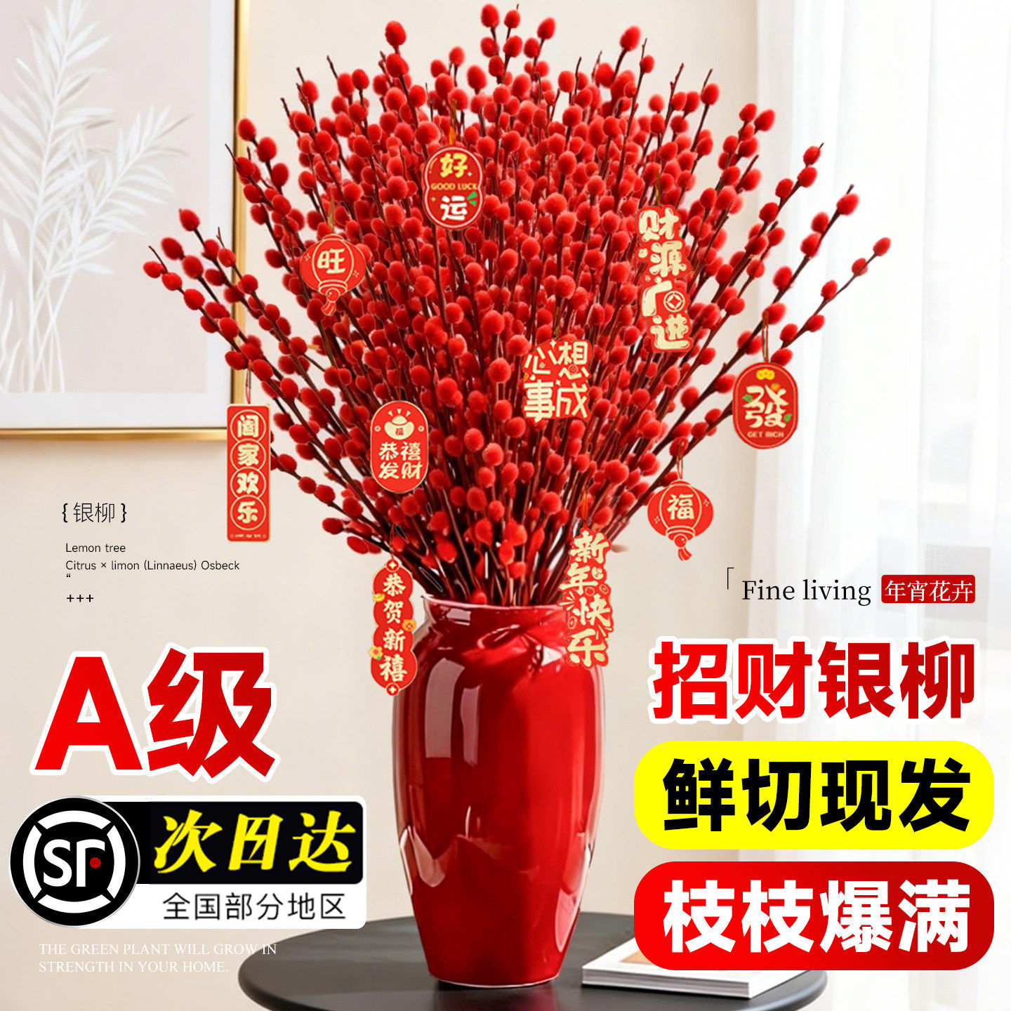 银柳年宵花真花鲜枝办公室内客厅喜庆摆件干支新年花瓶干花卉花瓶,鲜花速递/花卉仿真/绿植园艺,时令草本花卉,淘宝优惠券,粉丝福利购,淘宝优惠卷
