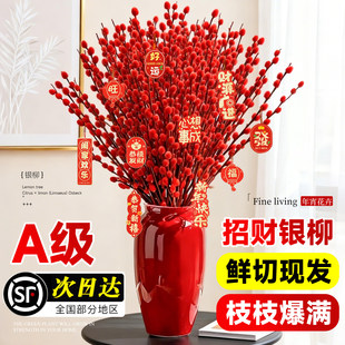 银柳年宵花真花鲜枝办公室内客厅喜庆摆件干支新年花瓶干花卉花瓶