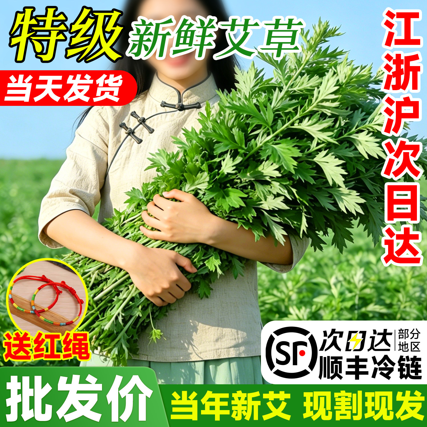 端午节新鲜艾草花束艾叶草手工diy材料香包驱蚊门挂菖蒲鲜花挂饰