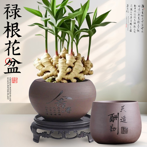 【禄根专用盆】禅意紫砂盆送托盘