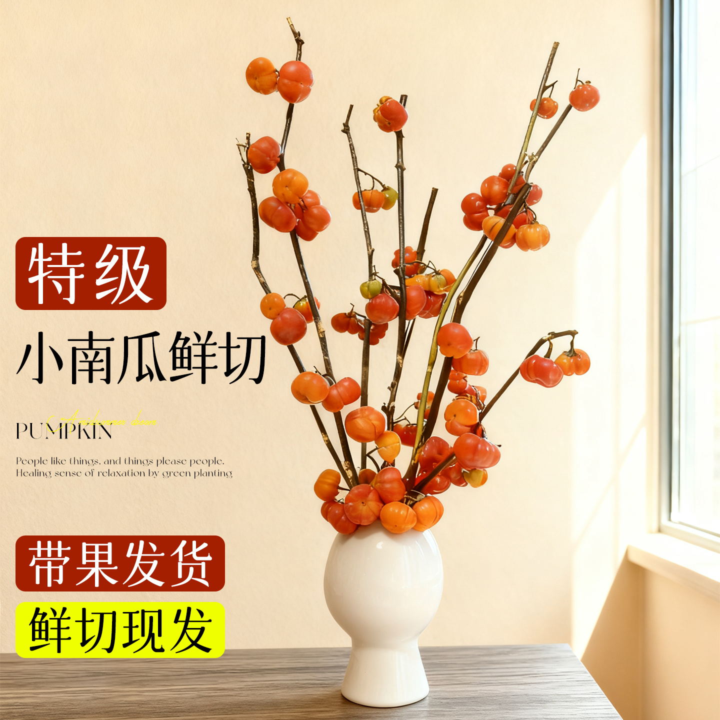 小南瓜鲜花水培鲜切枝支观赏插花