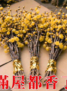 水培腊梅花鲜花鲜切花干枝支腊梅年宵花卉植物客厅摆放带花束发货