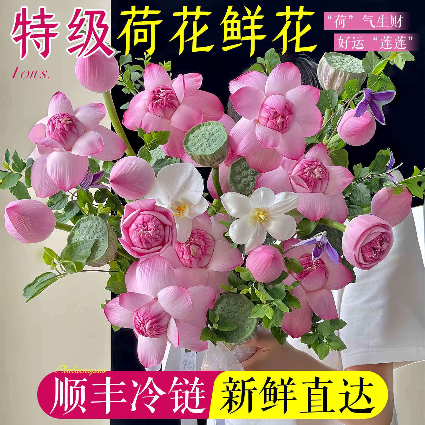 荷花鲜花花束莲蓬鲜花同城速递鲜切顺丰云南基地直发家用插花真花