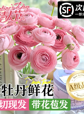 洋牡丹鲜花云南基地直发芍药鲜切花卉家用插花玫瑰百合花束情人节