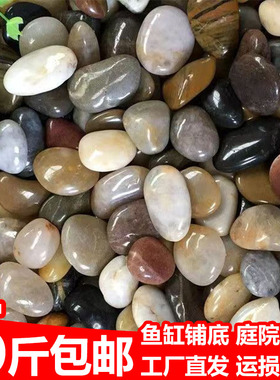 天然鹅卵石铺地造景雨花石原石石头庭院石子花园鱼缸白色鹅软暖石