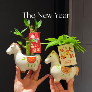 2026新款客厅年宵花摆件马上发财树小盆栽办公室内桌面绿植物招财