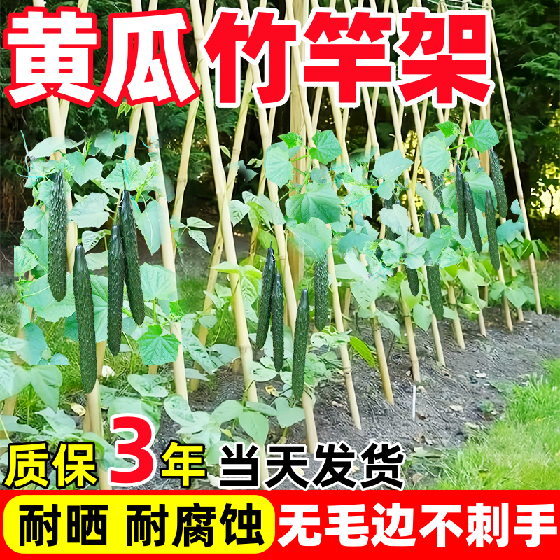 【质保3年】热销10w+不伤手竹竿