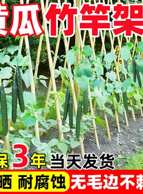 竹竿菜园搭架蔬菜黄瓜爬藤架番茄豆角架杆竹篱笆栅栏小竹子葡萄架