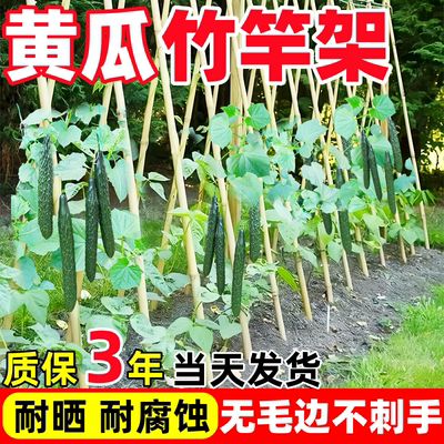 【质保3年】热销10w+不伤手竹竿