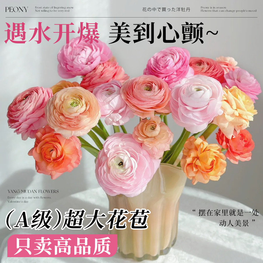 洋牡丹鲜花云南基地直发芍药鲜切花卉家用插花玫瑰百合情人节花束