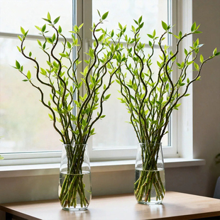 龙柳鲜枝水培植物雪柳干枝带花苞柳条枝客厅绿植花卉室内盆栽好养