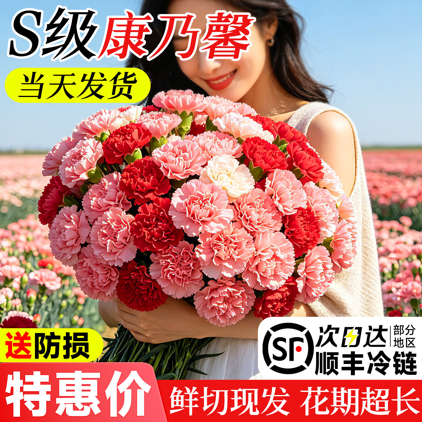 康乃馨鲜花批发云南基地直发家用插花束送妈妈鲜切真花卉顺丰包邮