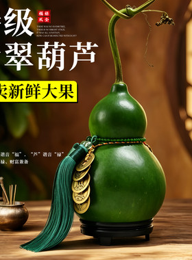 禅意摆件现摘青皮翡翠葫芦佛手柑