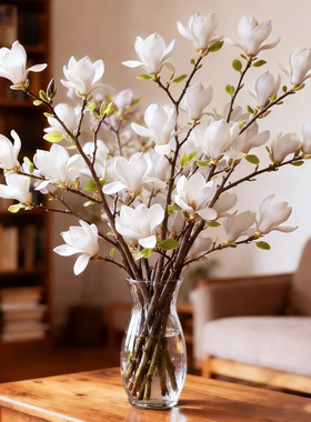 水培植物玉兰花鲜切枝带花苞腊梅干枝雪柳鲜花卉室内好养四季开花