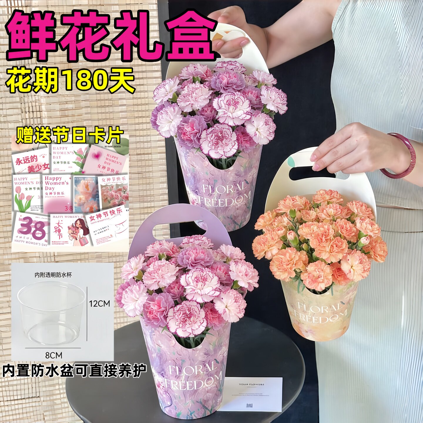 康乃馨盆栽带花苞蝴蝶兰女神节38节妇女礼物礼盒花期超长的鲜花卉