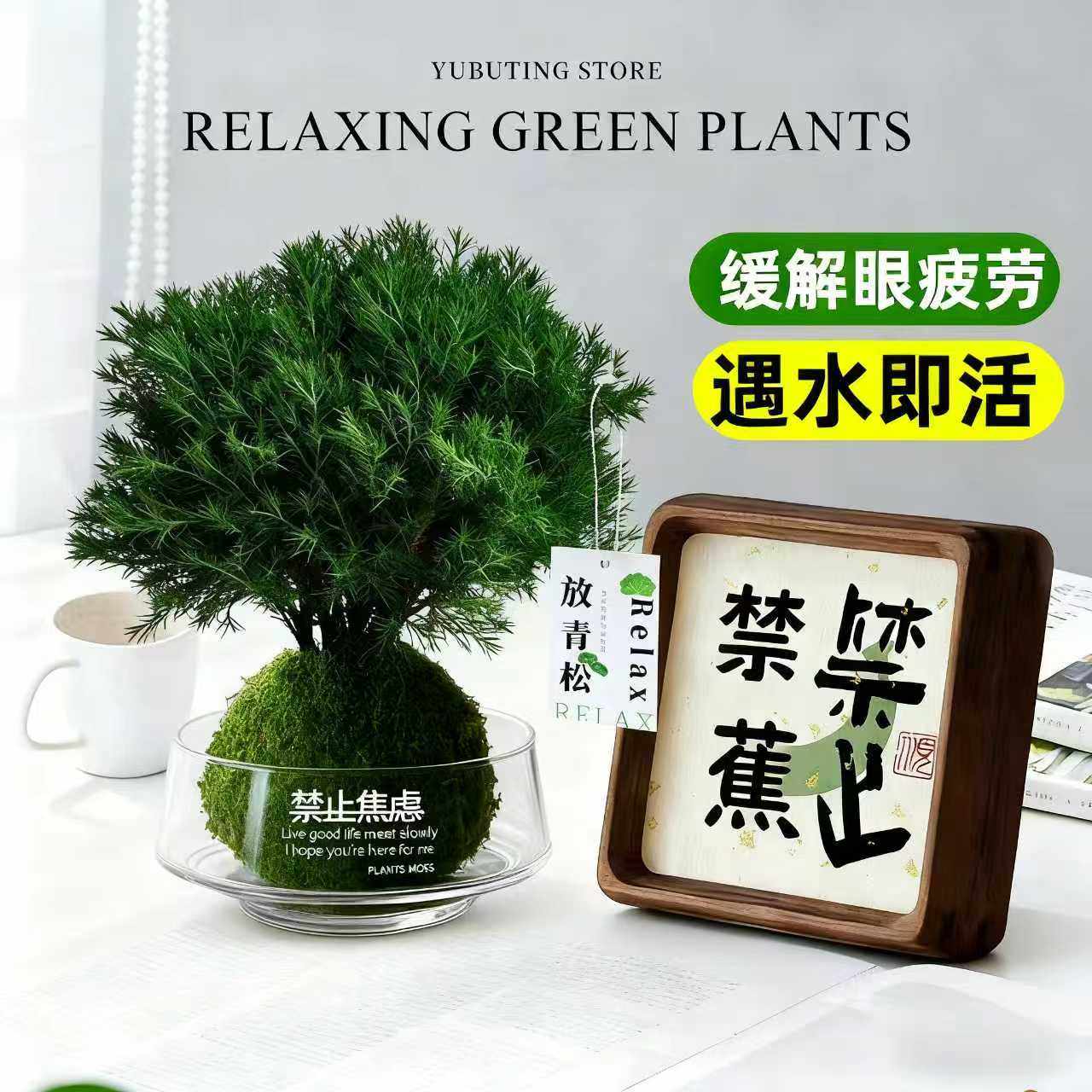【放青松】雾凇苔藓球办公室内客厅创意工位绿植懒人好养桌面摆件,鲜花速递/花卉仿真/绿植园艺,绿植,淘宝优惠券,粉丝福利购,淘宝优惠卷