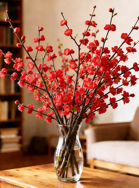 红梅干枝水培植物雪柳鲜枝带花苞鲜花卉室内水养玉兰花腊梅年宵花