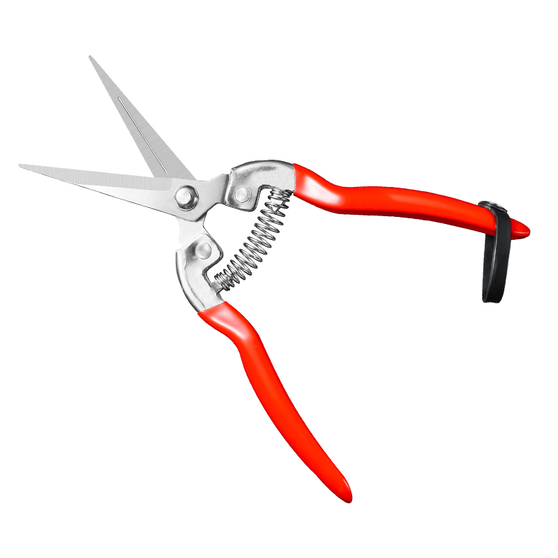 极速不锈钢摘果剪刀稀p果修果剪葡萄剪刀翘头蔬果采果剪子橘子枝