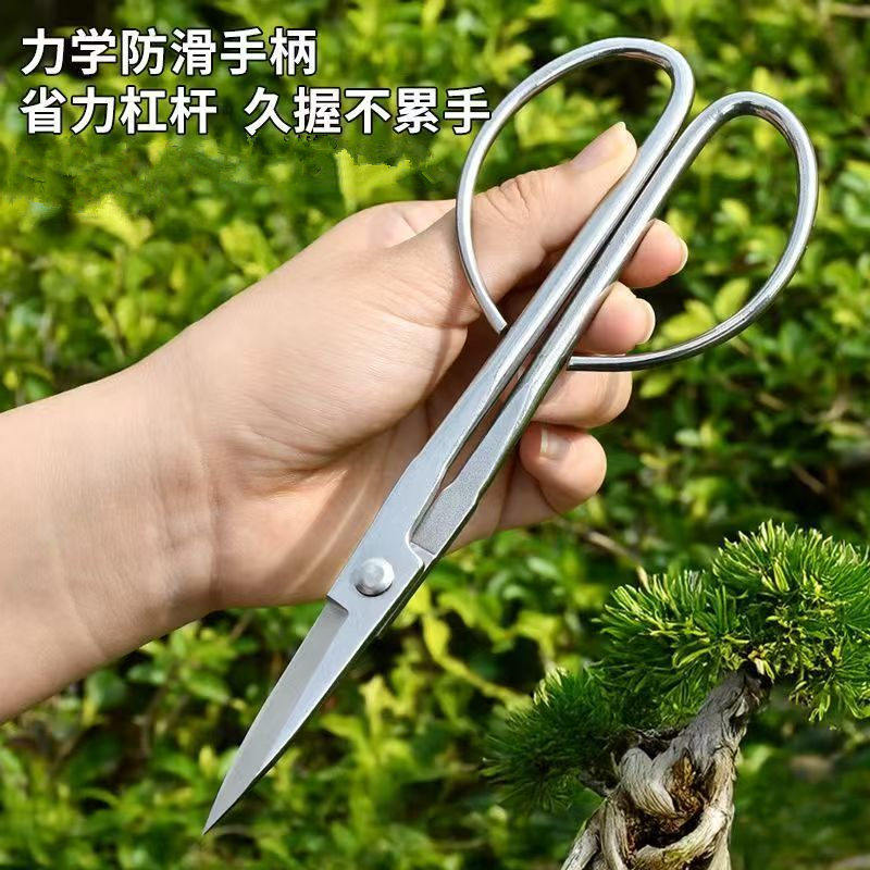 不锈钢叶芽剪盆景修剪剪刀图片