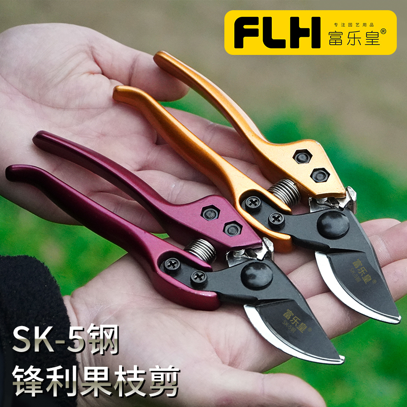 花艺进口摘果专用德国修枝剪刀