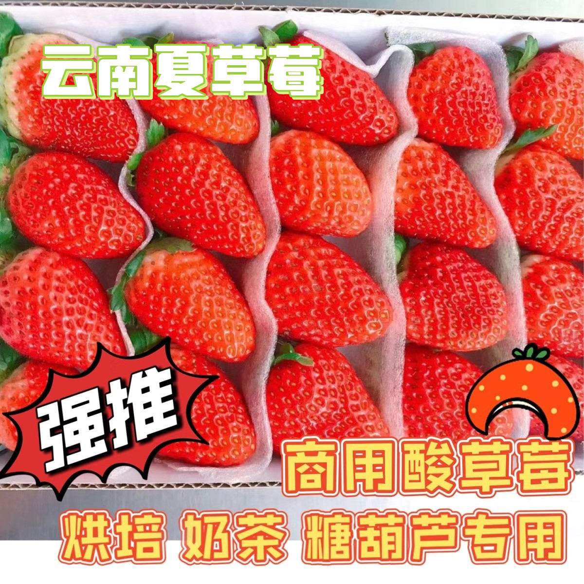云南夏季草莓烘培蛋糕店奶茶店糖葫芦草莓商用草莓双流盒装包邮
