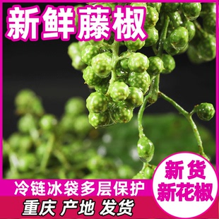 藤椒青花椒新鲜特产350g重庆江津麻椒现摘特麻新鲜真空鲜花椒
