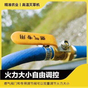 火焰除草机,除草喷火枪,除草烧草籽灭虫卵高温灭草机