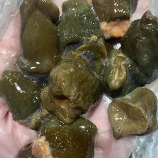 台州东海本地纯野生岩蒜当天岩石上现挖海鲜江浙沪顺丰邮水产海鲜