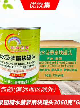 彩虹果园糖水菠萝扇块罐头3060g*6罐小扇块酒店餐饮果冻什锦水果