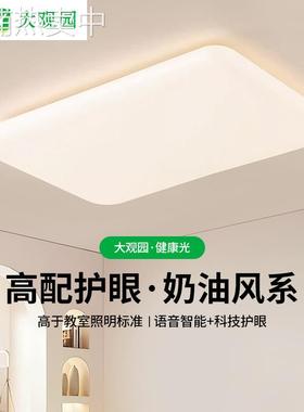 客厅吸顶灯奶油风新款护眼北欧极简大气大厅温馨主卧室房间灯293L