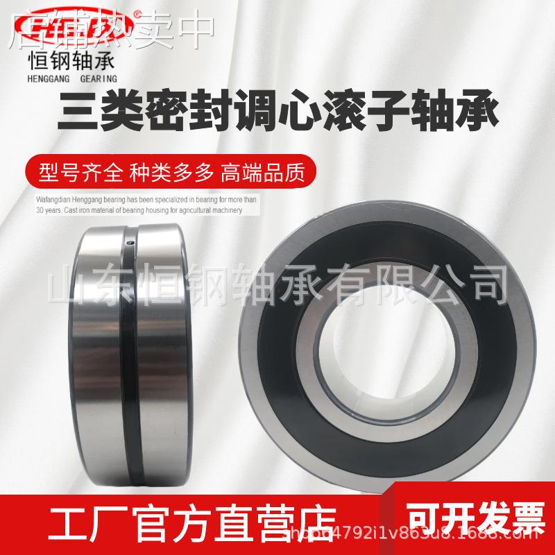 BS2-2312-2CS 2RS 轴承60*130*53 电梯用密封 22312调心滚子轴承