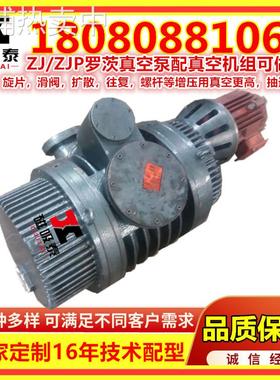 大连ZJB罗茨真空泵ZJ成套机组150/300/600/1200L/S罗茨泵
