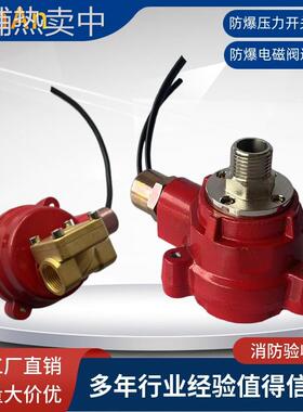 雨淋报警阀防爆压力开关ZSJY-EX-WX 防爆电磁阀ZSCFD1-P-15-16-EX
