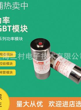 全新熔断器保险丝FR10AM40V2PtZ084984 FR10AM40V4PtY085259