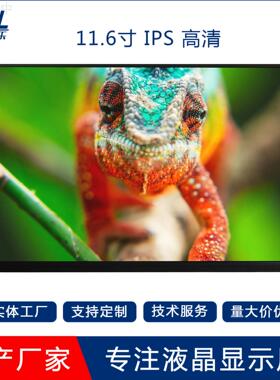11.6寸TFT LCD液晶显示屏IPS/TN屏1920*1080高清EDP30PIN亮度客制