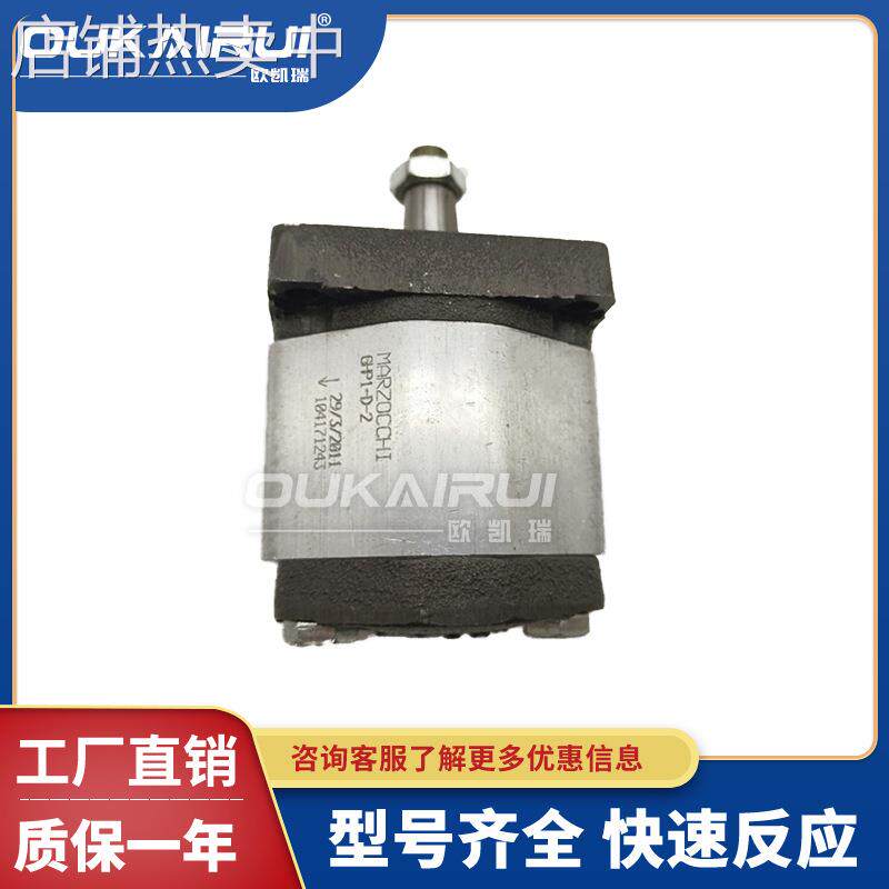 马祖奇MARZOCCH齿轮泵GHP1A-D-2/3/4/5/6/7/9/11/13/16/20-FG油泵