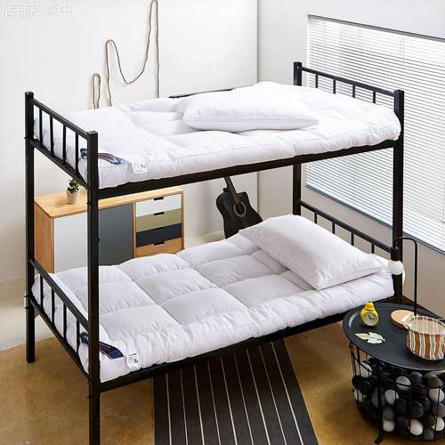 新款加厚羽丝软床垫榻榻米床垫单双人床褥酒店床垫