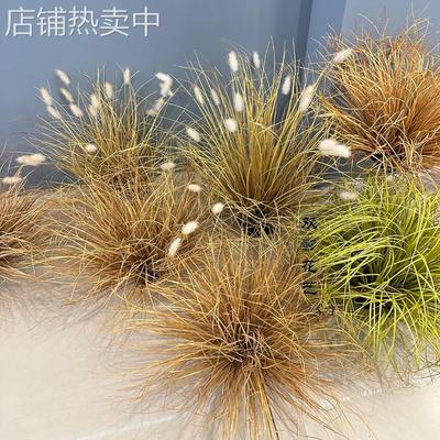 仿真草团 枯草秋色小草 毛毛虫狗尾草菖蒲草弯草 仿真芦苇草