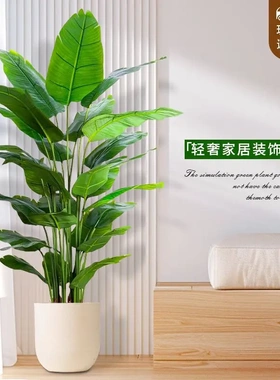 仿真天堂鸟绿植高端轻奢室内客厅