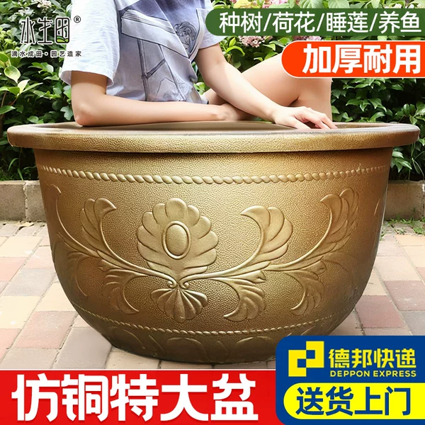 Товары от 水生田园艺旗舰店