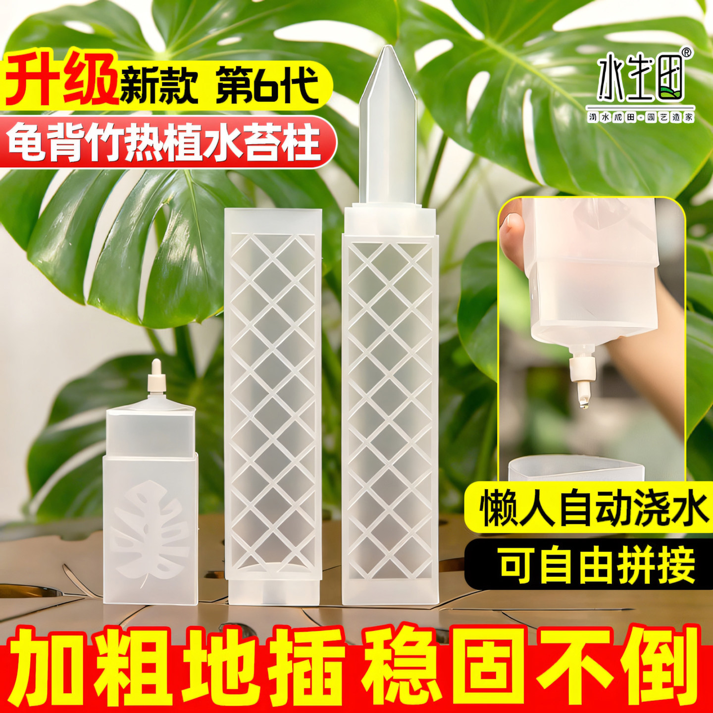 龟背竹水苔柱支撑杆新型植物热植图片