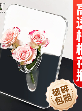 相框花瓶摆件客厅插花轻奢风创意透明亚克力桌面玄关高级感水培养