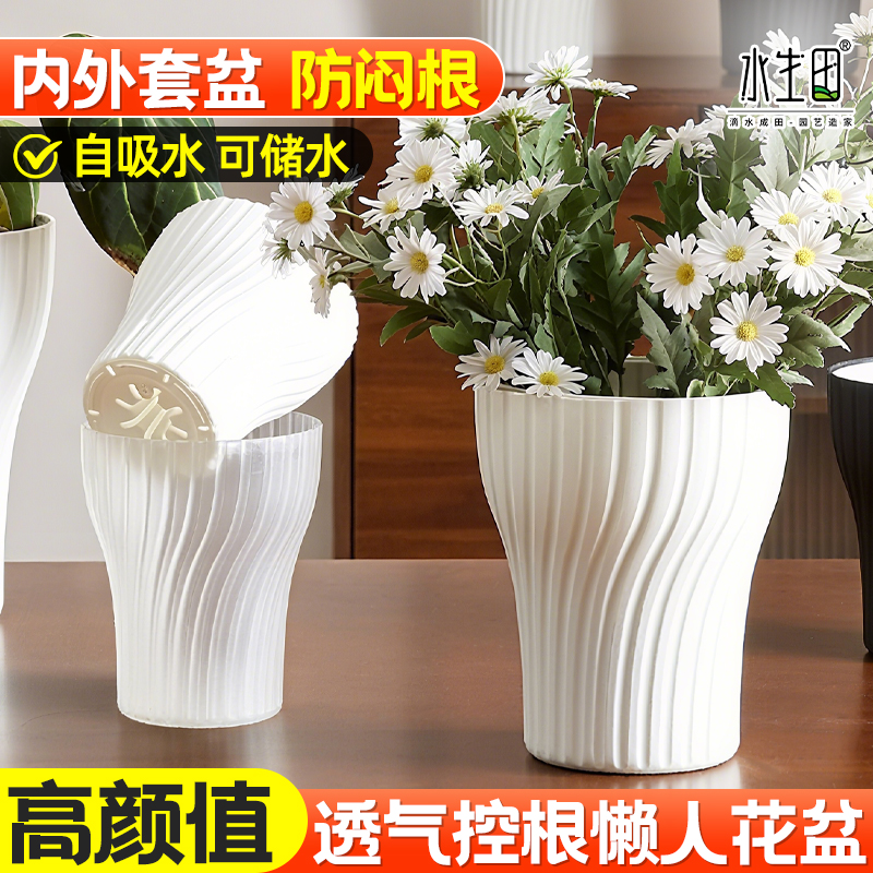 龟背竹花盆家用塑料蝴蝶兰热植