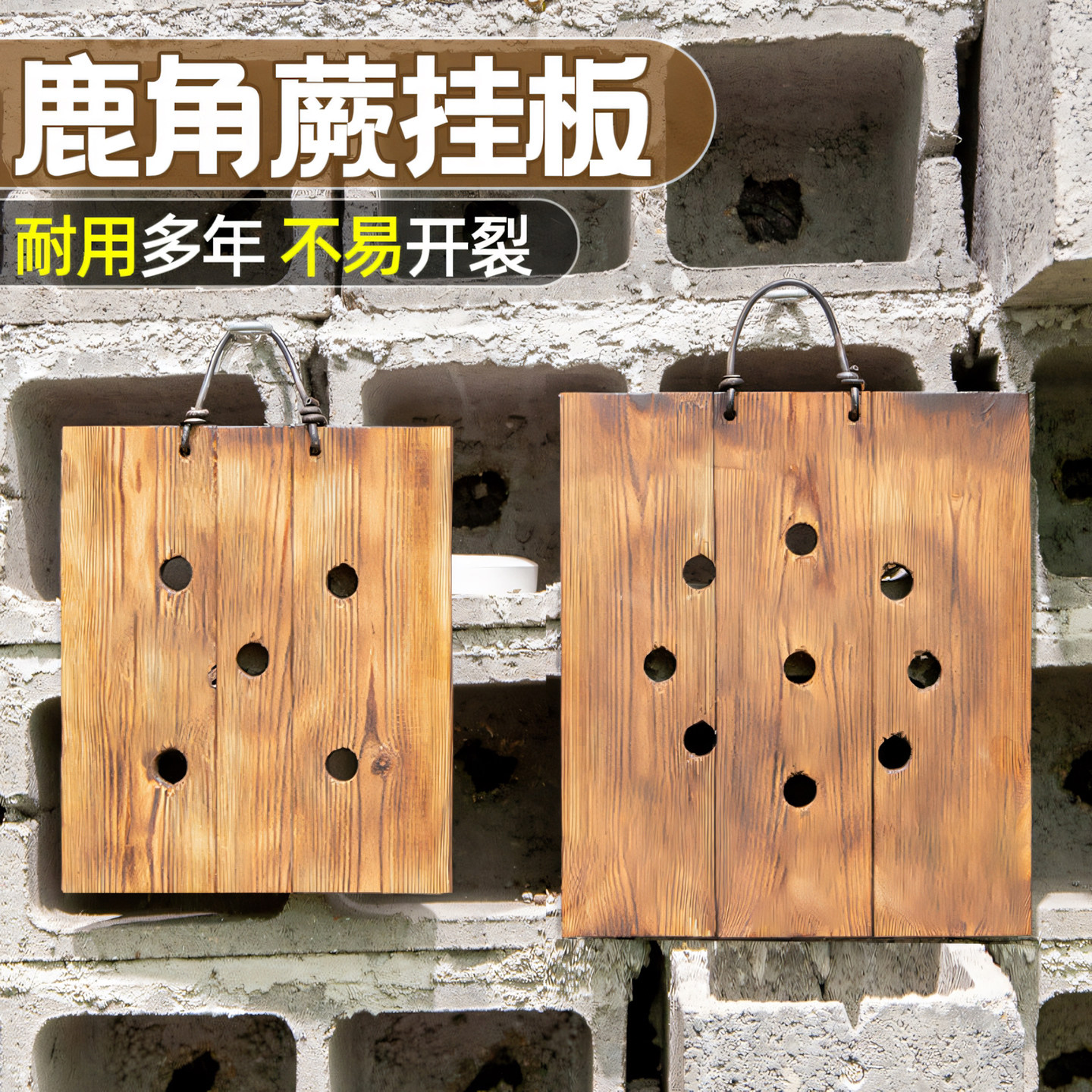 鹿角蕨板挂板定植板种植板壁挂图片