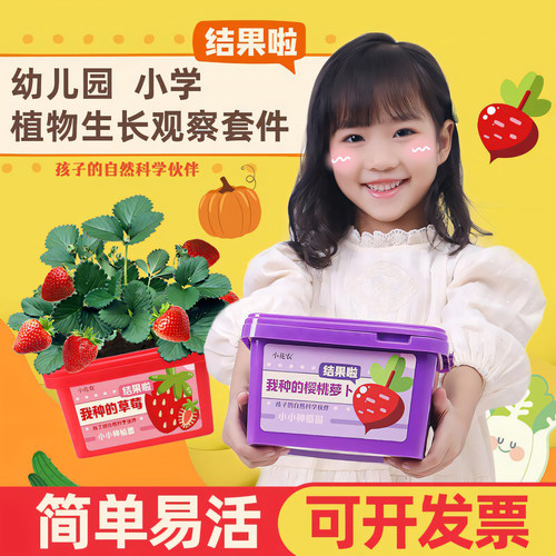 水生田儿童种植小盆栽简单易活