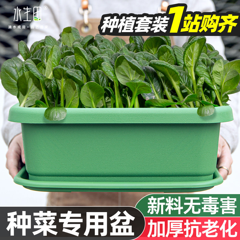 家庭阳台种菜盆蔬菜种植神器长方形花盆塑料长条槽室内特大号韭菜