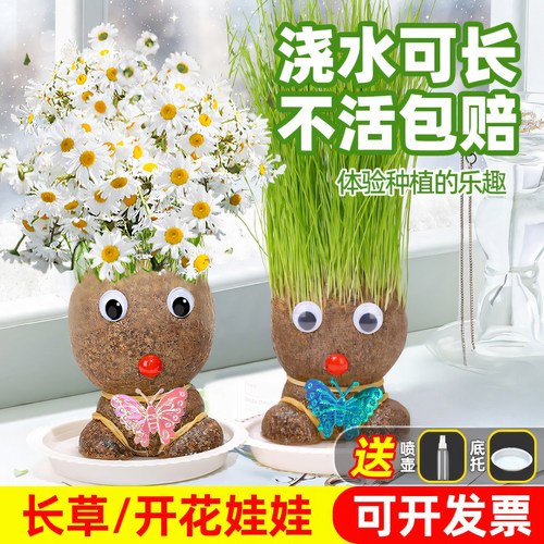 头上长草娃娃水生田幼儿园