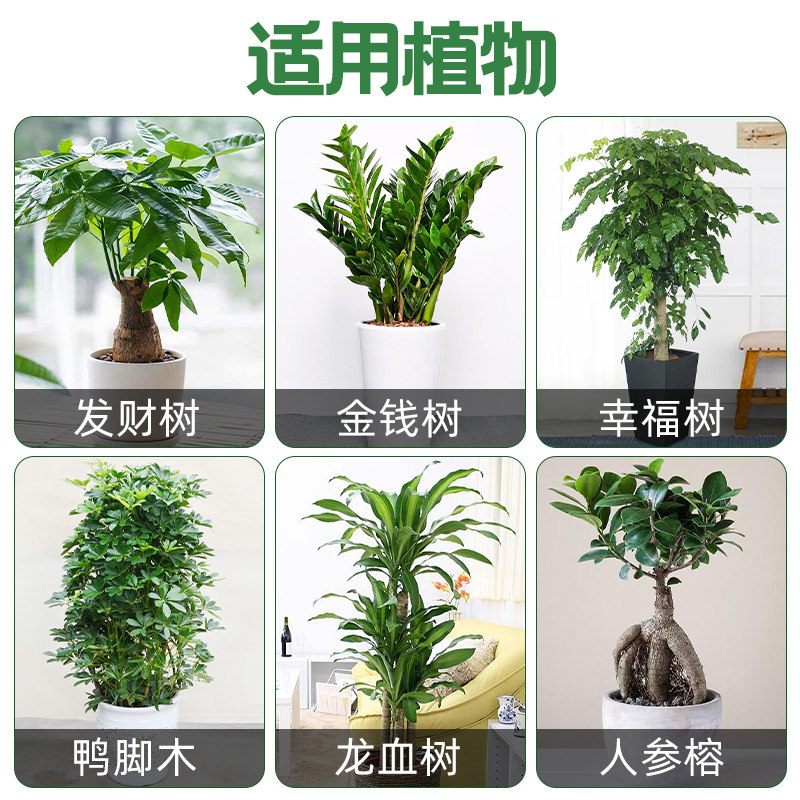 工厂销发财树营养液室内专用x植物通用型水培绿萝肥料多肉金钱树