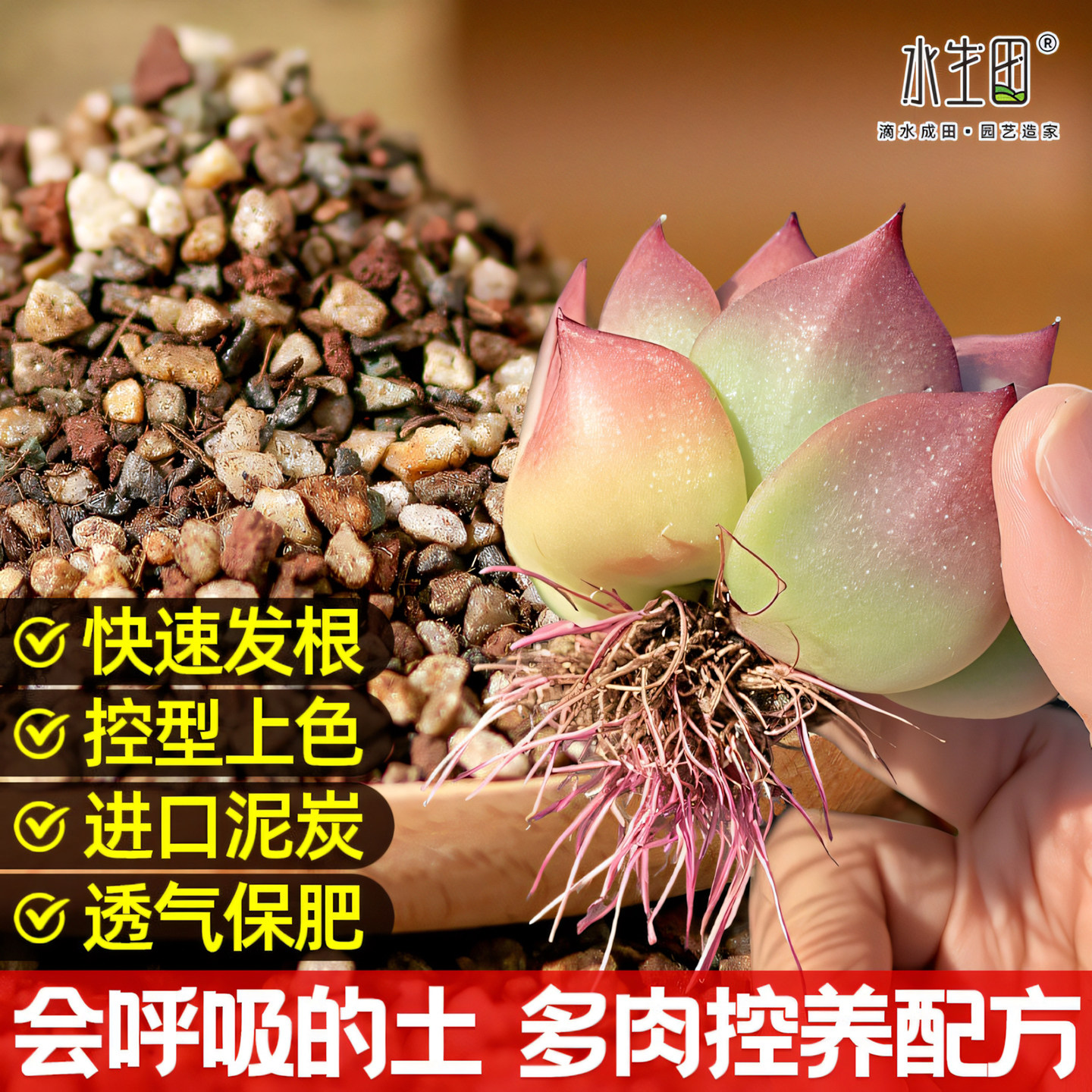 多肉土专用颗粒营养土老桩肉肉种植养花叶插通用进口泥炭土铺面石