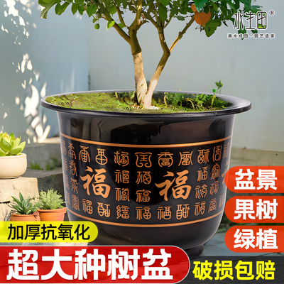 花盆家用塑料树脂特大号种树大口径果树盆发财树户外庭院加厚耐用